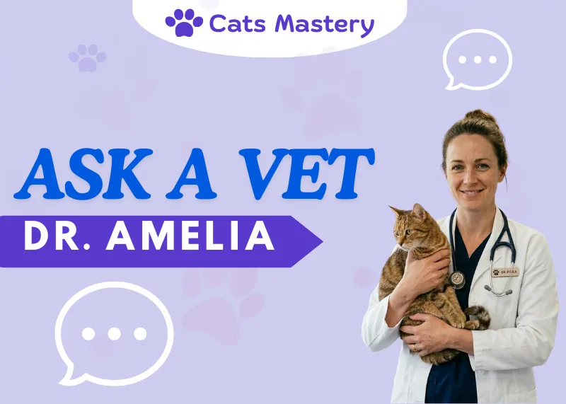 Ask a Vet | Dr. Amelia