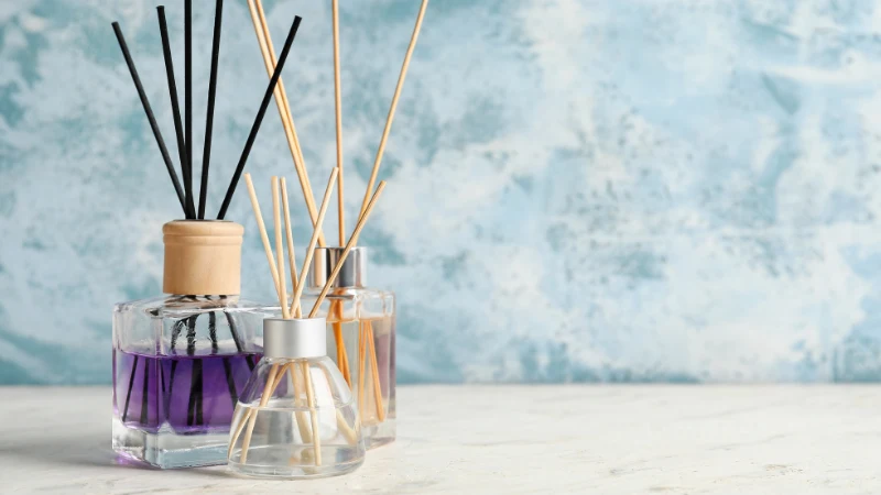 Lavender Diffusers are not safe cats