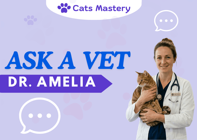 Ask a Vet | Dr. Amelia